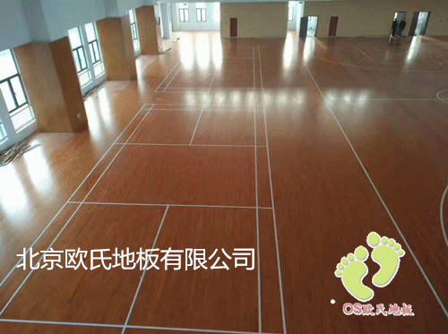 江蘇泰州雙河初中楓木運(yùn)動木地板 江蘇泰州雙河初中楓木運(yùn)動木地板