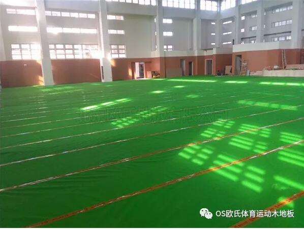 溫州甌海區外國語學校初中分校運動木地板案例